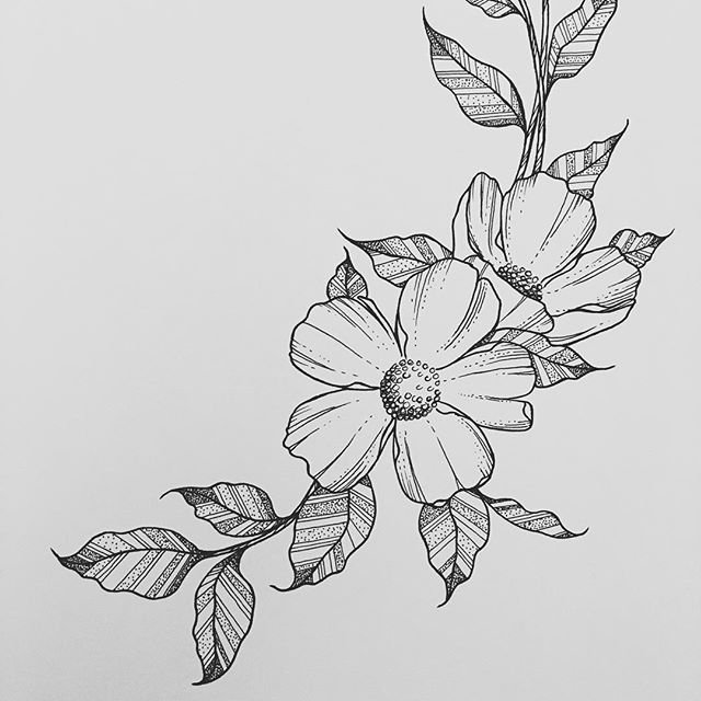 Simple Flower Drawing Art