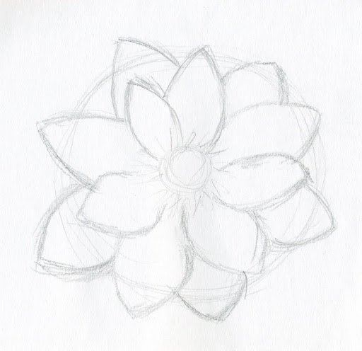 Simple Flower Drawing Beautiful Art