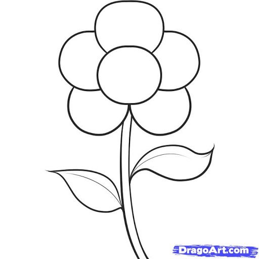 Simple Flower Drawing Creative Art
