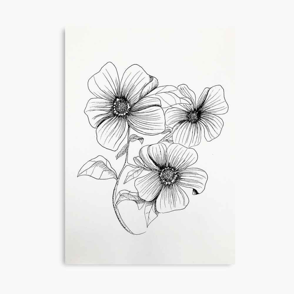 Simple Flower Drawing High-Quality