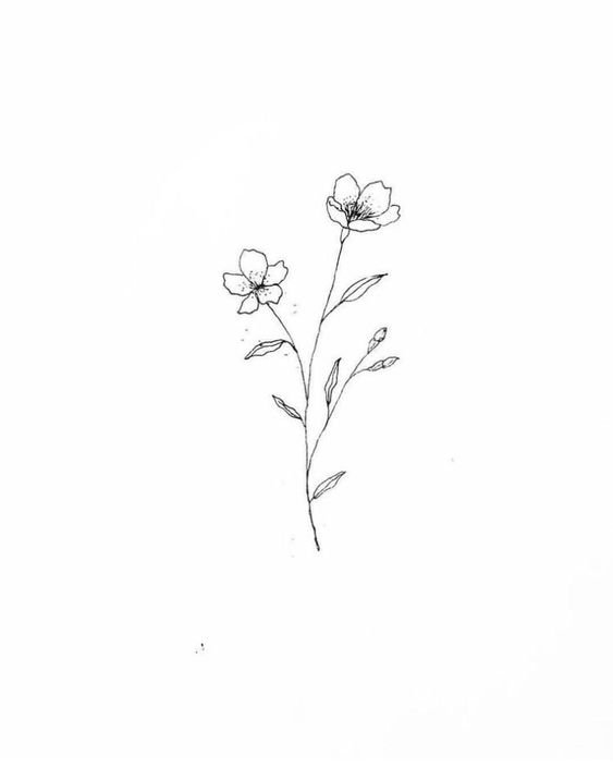 Simple Flower Drawing Image