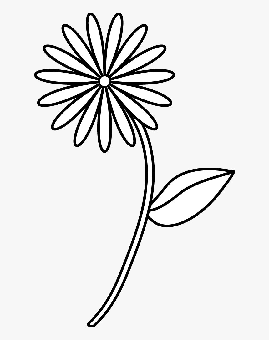 Simple Flower Drawing Pic