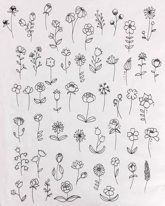 Simple Flower Drawing Picture