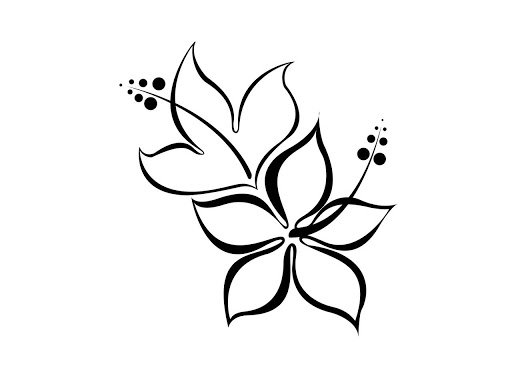 Drawing Flower Black And White Silhouette Leaf - Clip Art Transparent PNG -  764x750 - Free Download on NicePNG