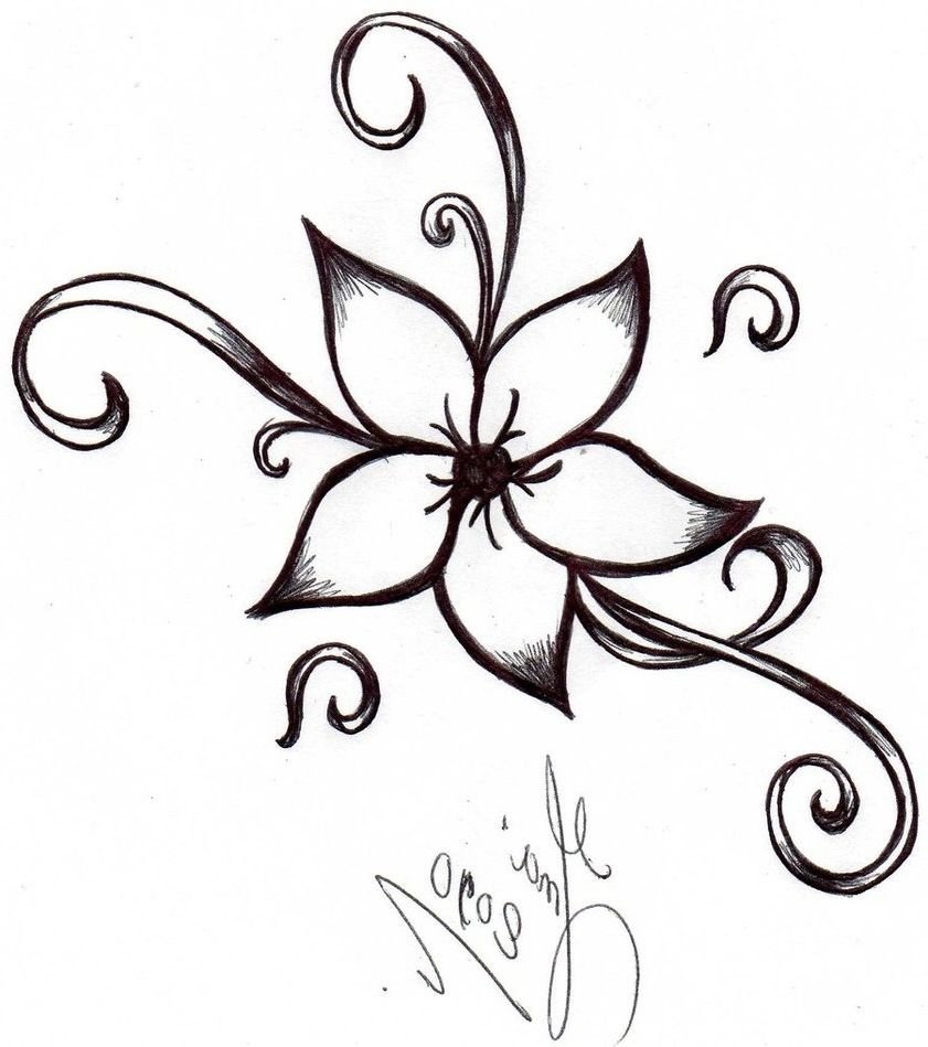 Premium Vector | Simple sketch with a flower and leaves vector illustration  outline hand drawn