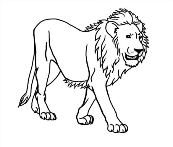 Simple Lion Art Drawing