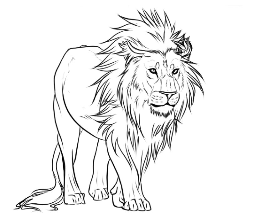 Simple Lion Drawing Amazing