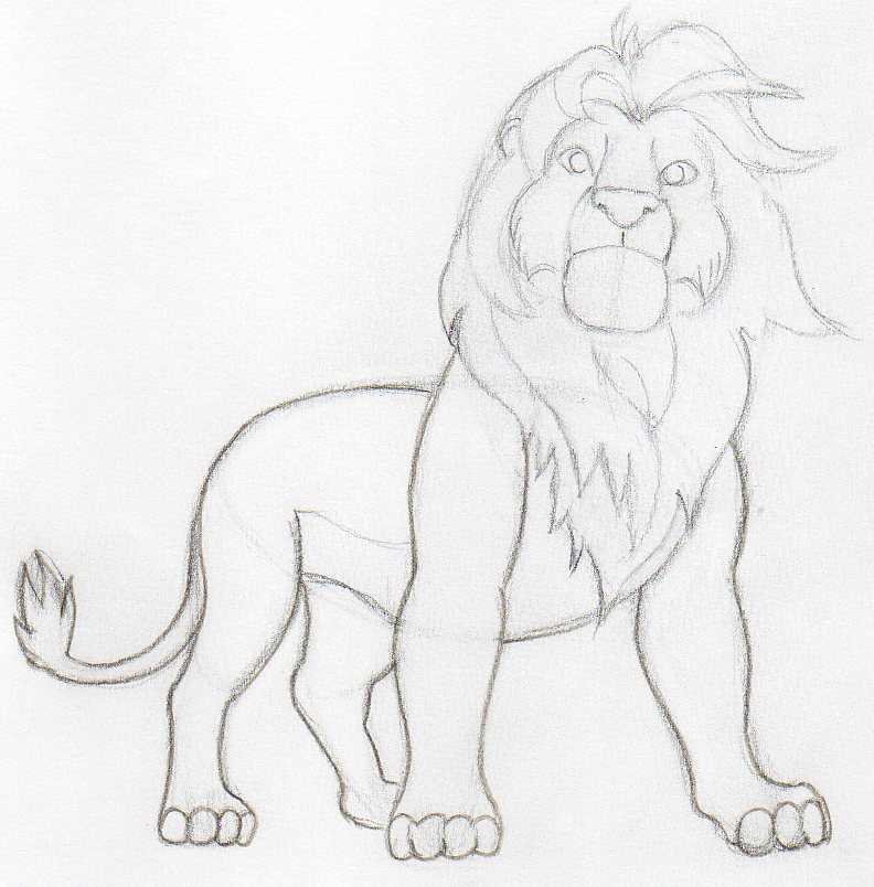 Pussycat Lion Drawings