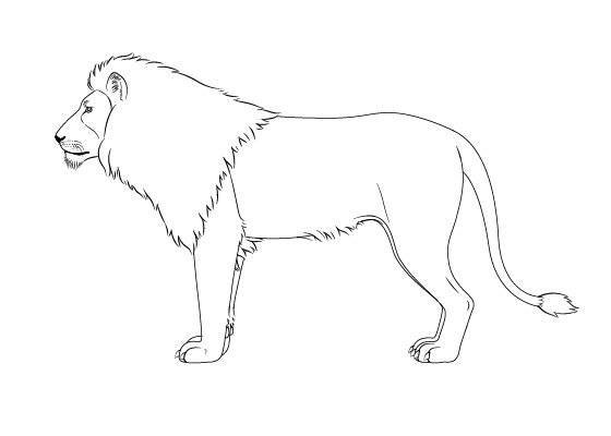 Simple Lion Drawing Best