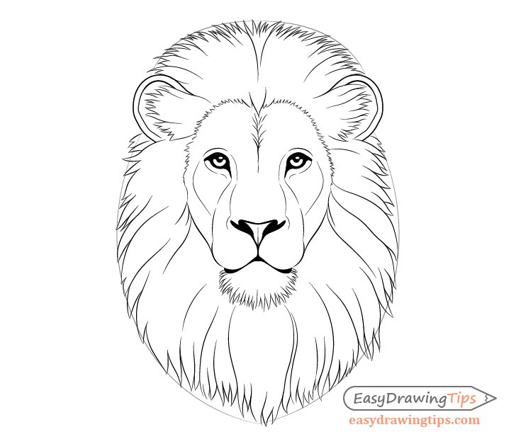Simple Lion Drawing High-Quality
