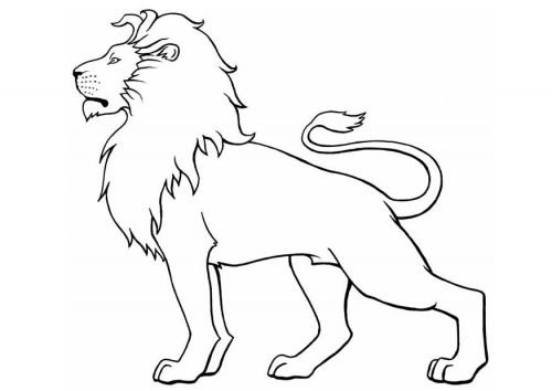 Simple Lion Drawing Image