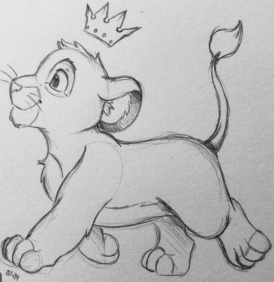 Simple Lion Drawing Photo