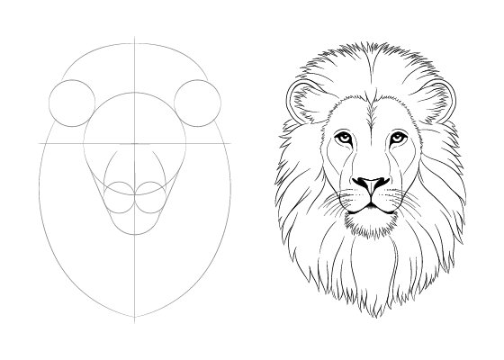 Simple Lion Drawing - Drawing Skill-saigonsouth.com.vn