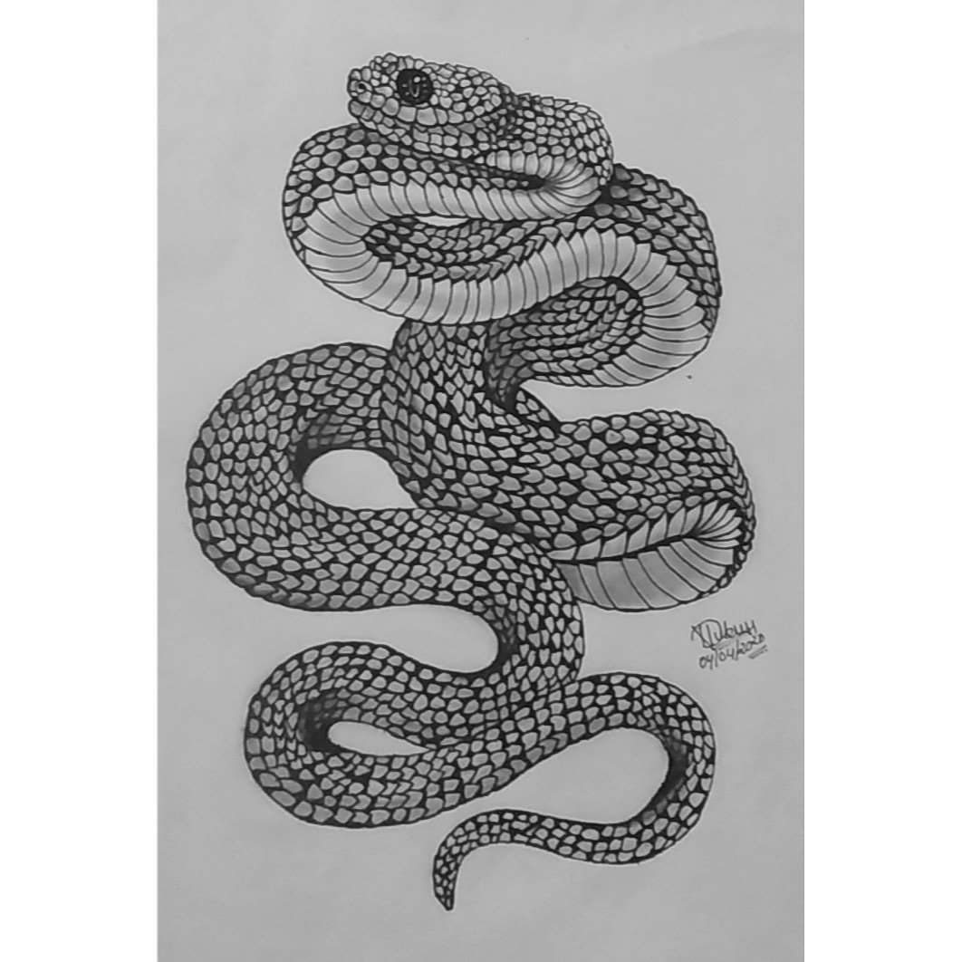 Snake Pen Sketch Drawing