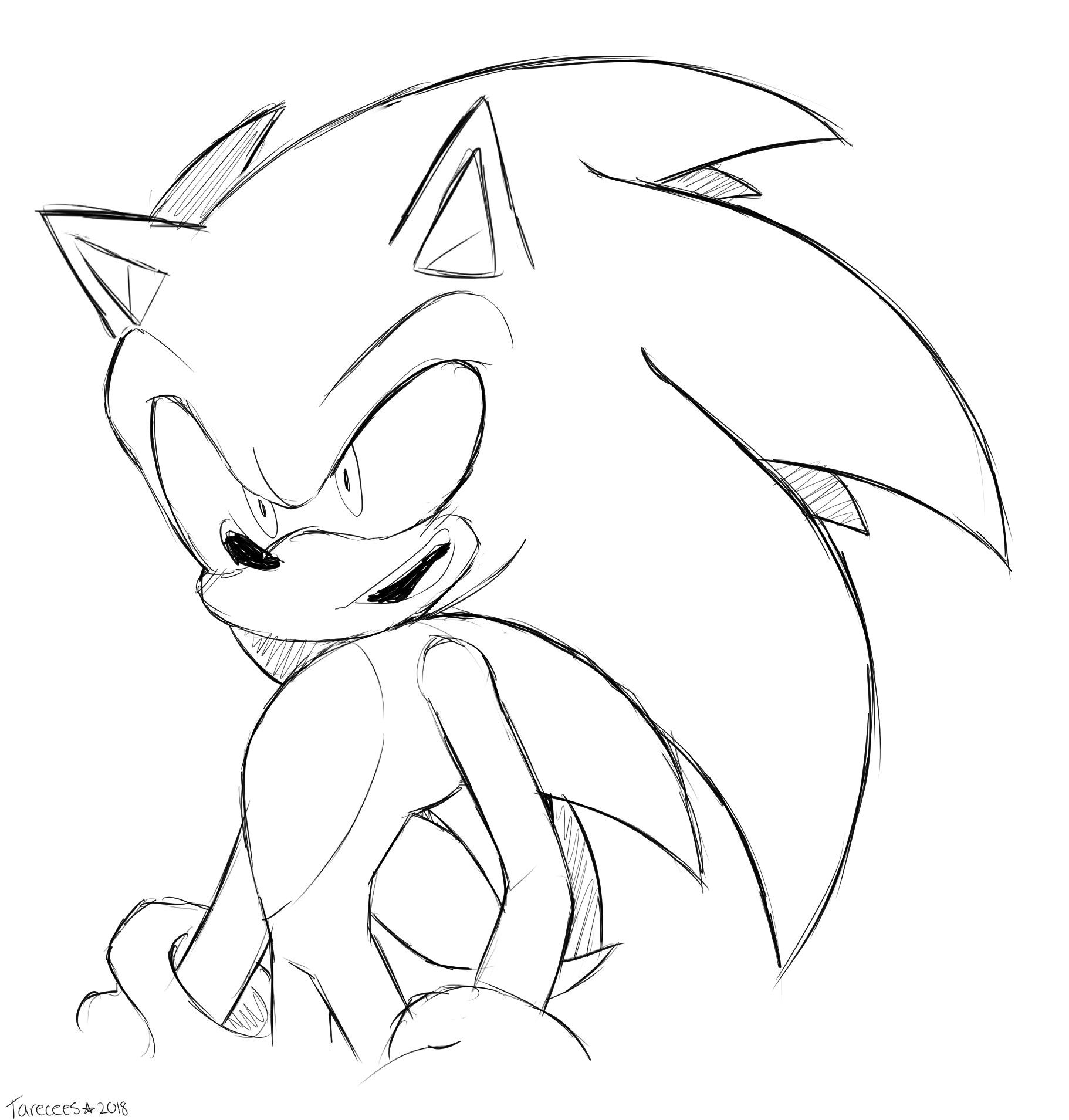 Sonic Drawing Picture