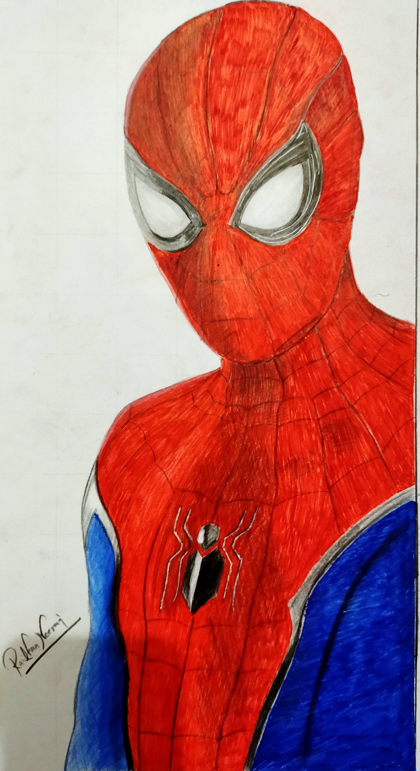 Spider Man Colored Sketch Drawing