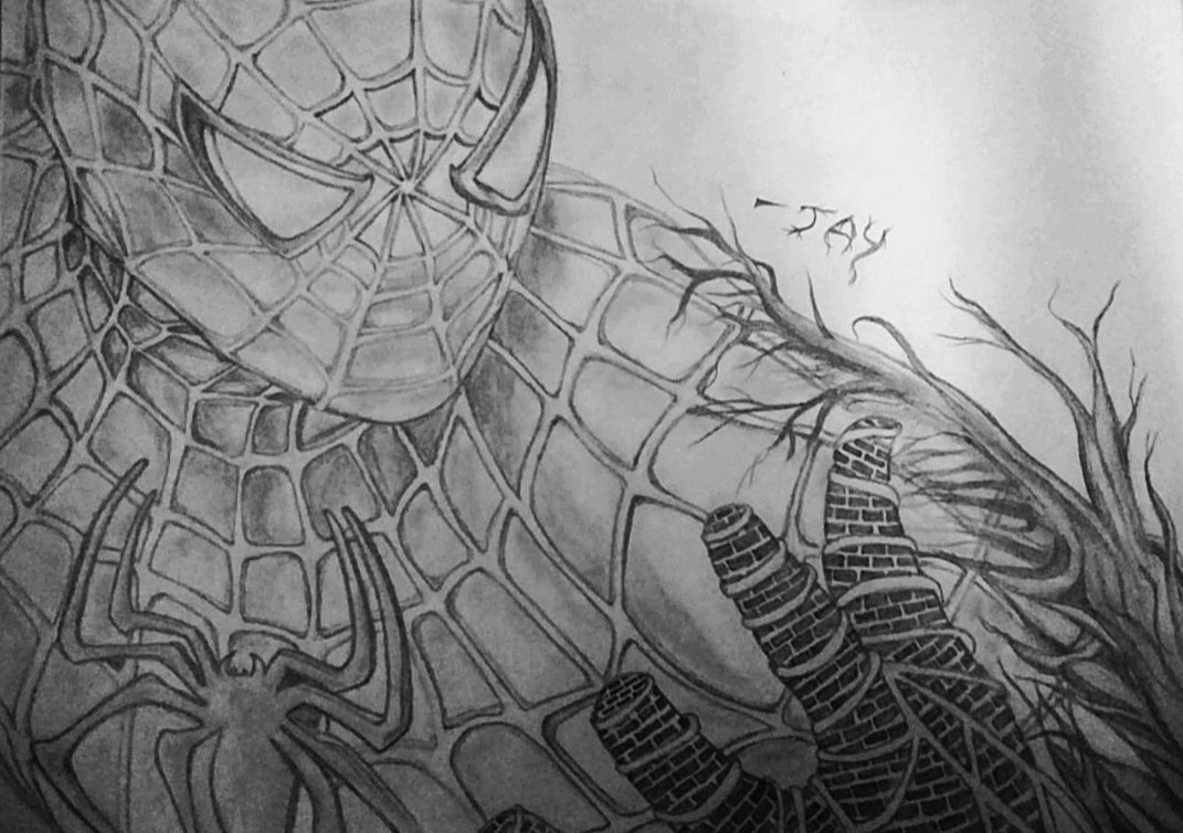 Spider Man – Peter Parker Drawing