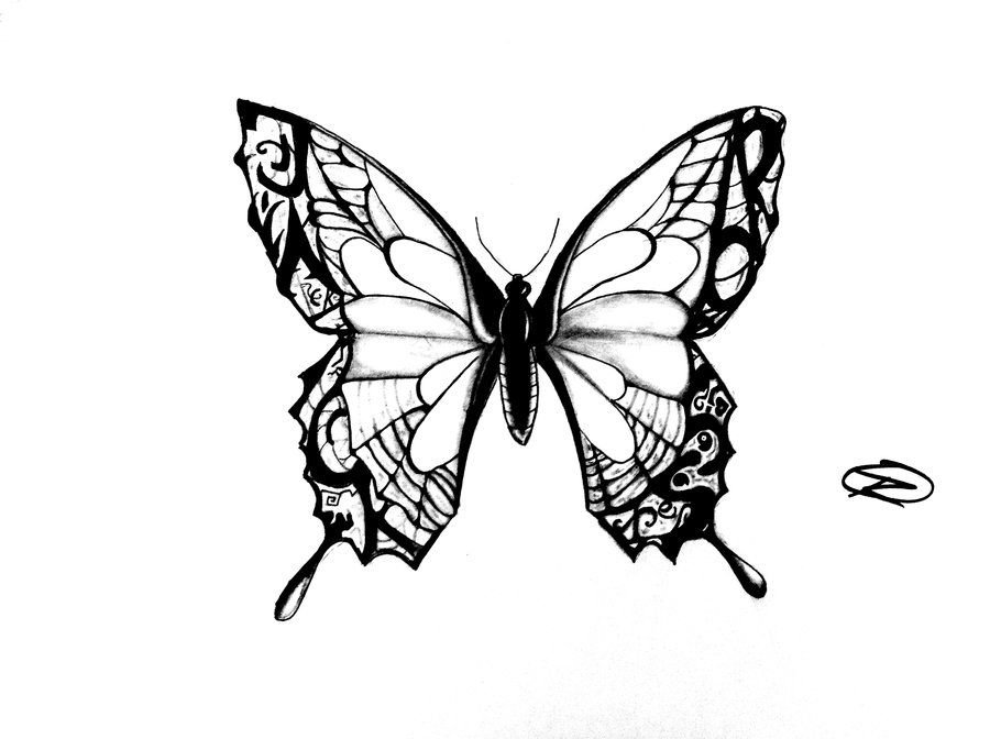 Tattoo Butterfly Drawing Art - Drawing Skill