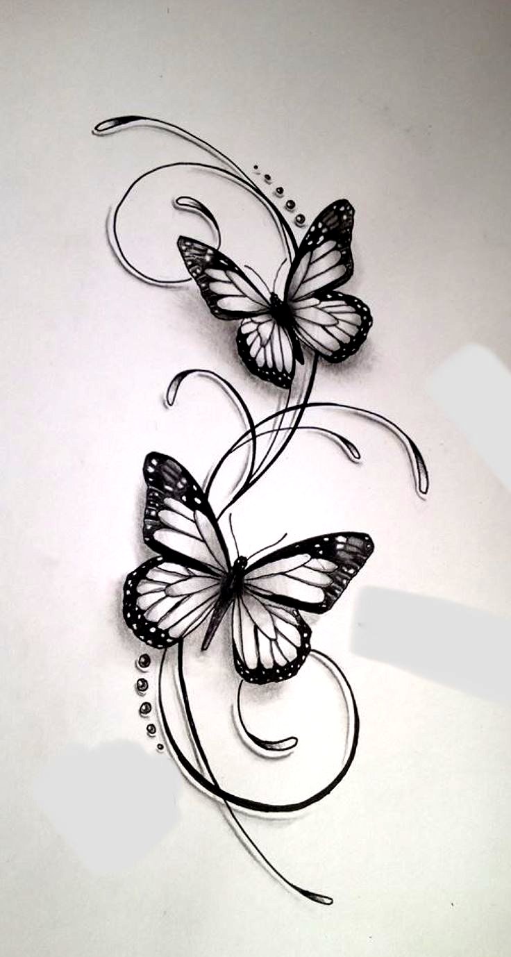 Tattoo Butterfly Drawing Best - Drawing Skill