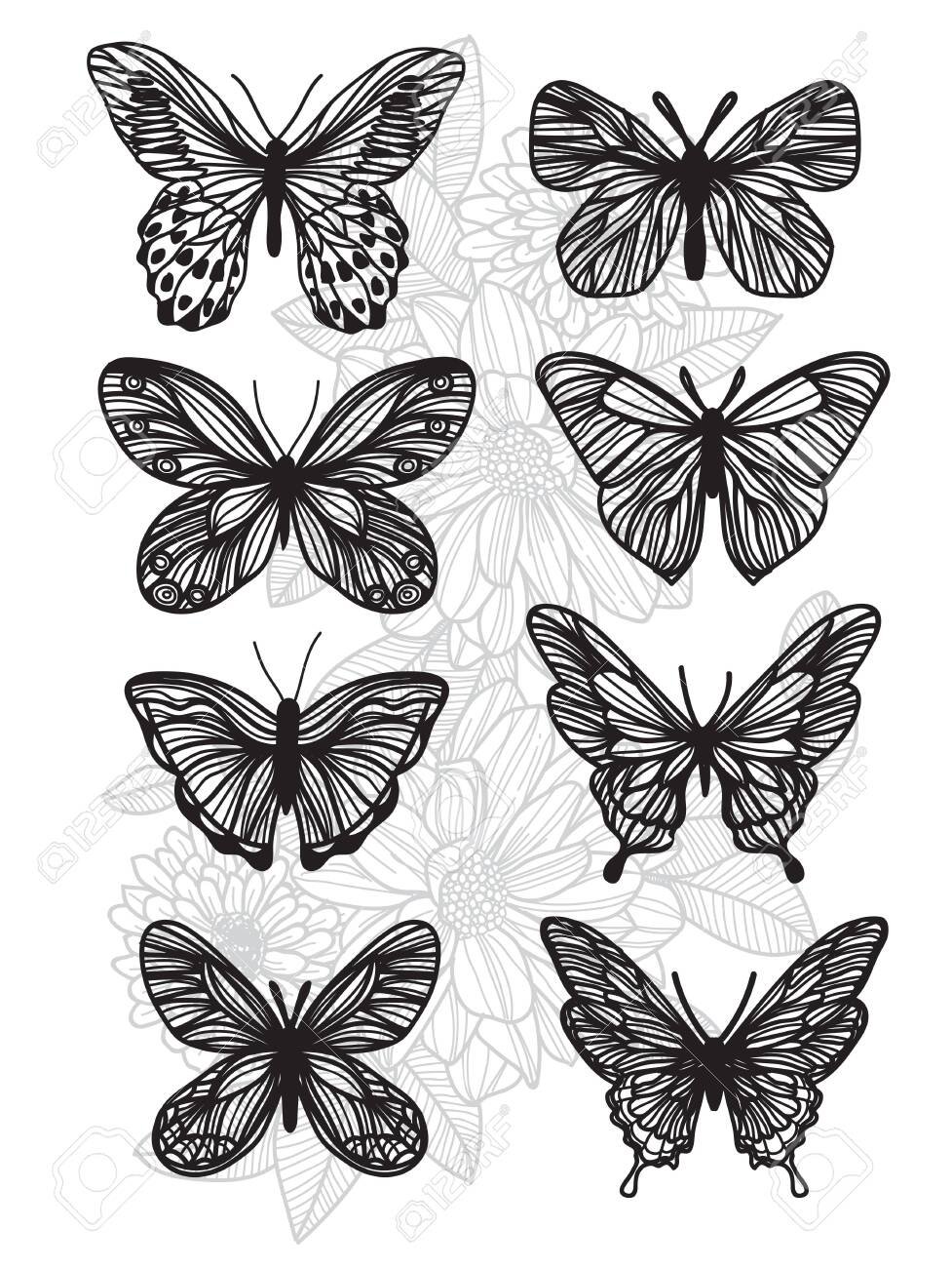 Tattoo Butterfly Drawing Image