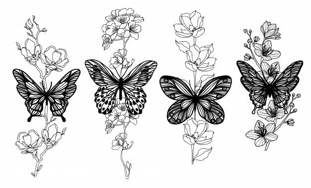 Tattoo Butterfly Drawing Images