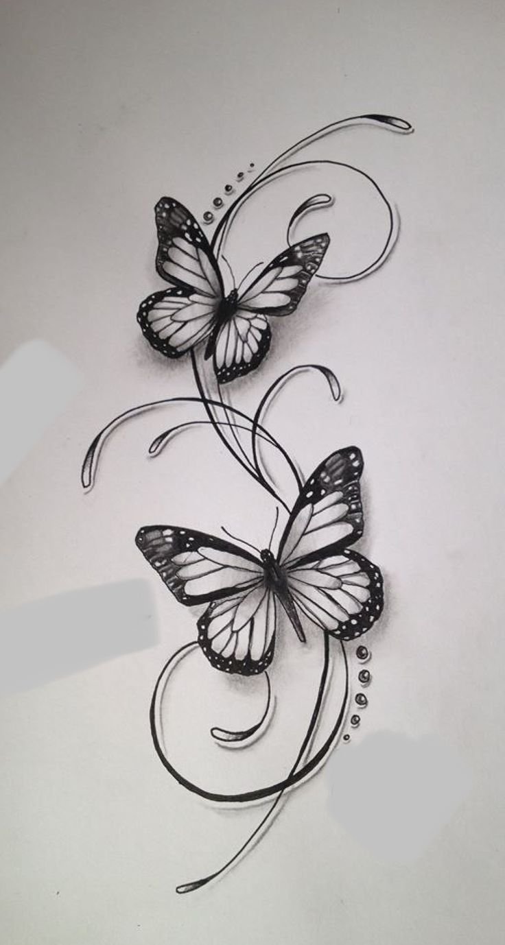 Tattoo Butterfly Drawing Pic - Drawing Skill