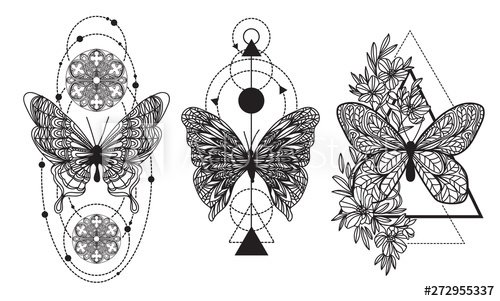 Tattoo Butterfly Drawing Sketch
