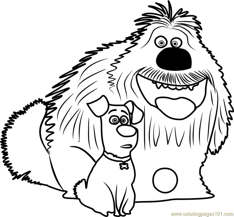 The Secret Life of Pets Drawing Photos