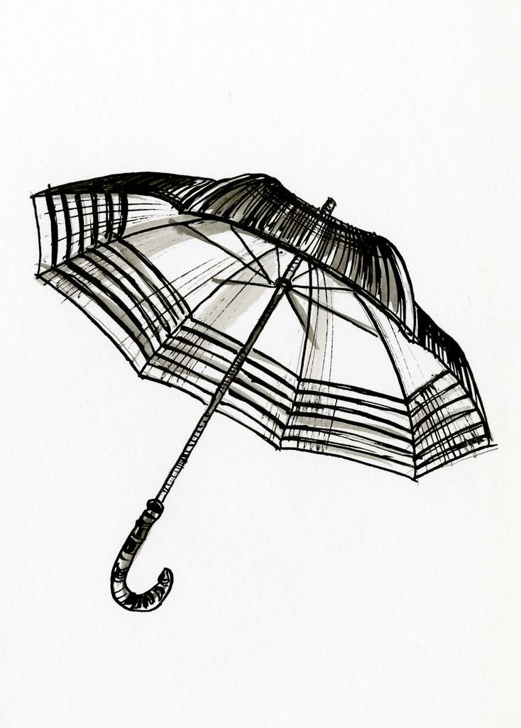 Umbrella Art Drawing