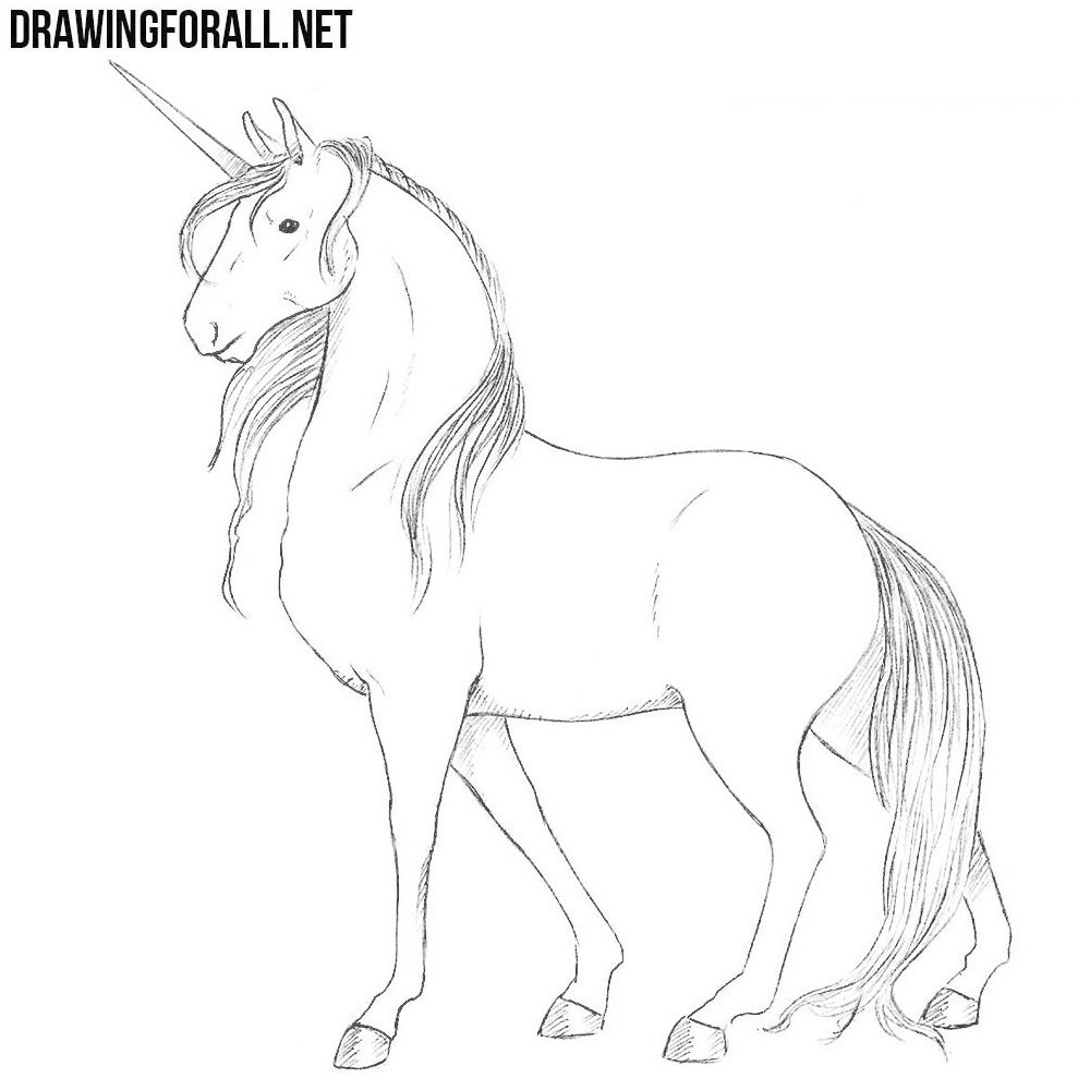 Unicorn Drawing Art