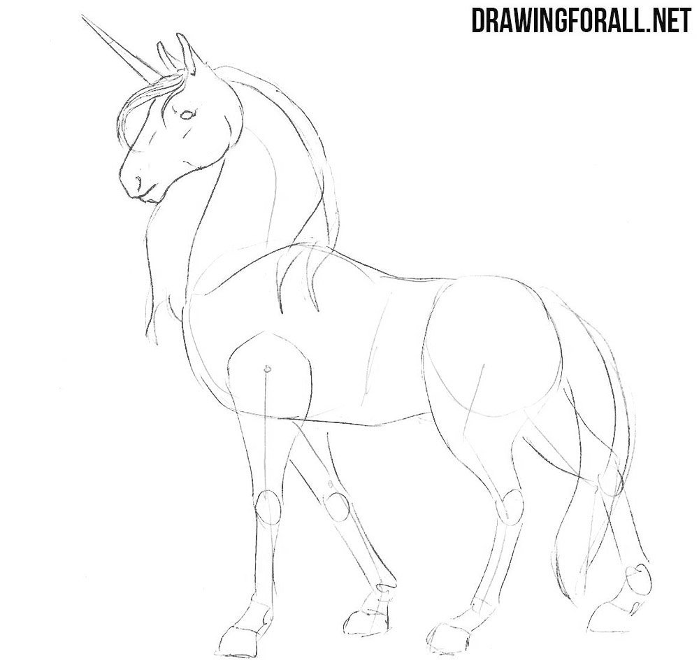 Unicorn Drawing