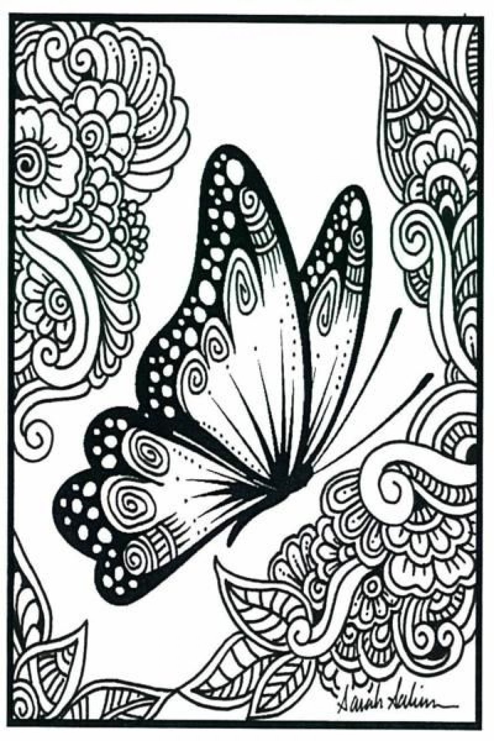 Unique Butterfly Drawing Beautiful Art