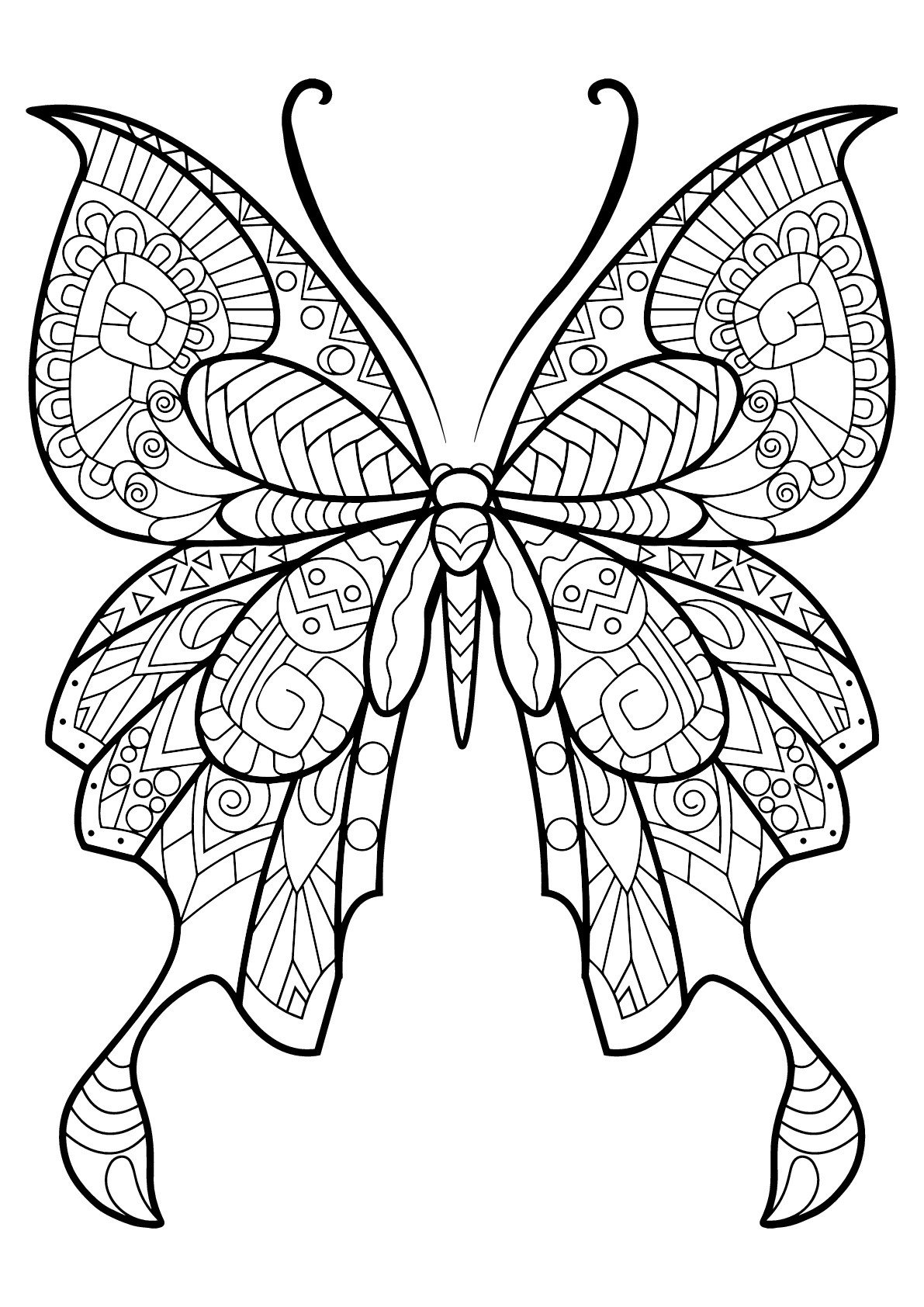 Unique Butterfly Drawing High-Quality