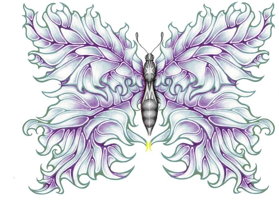 Unique Butterfly Drawing Image