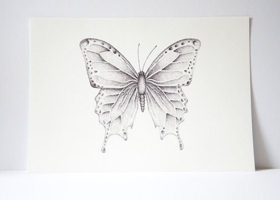 Unique Butterfly Drawing Pics