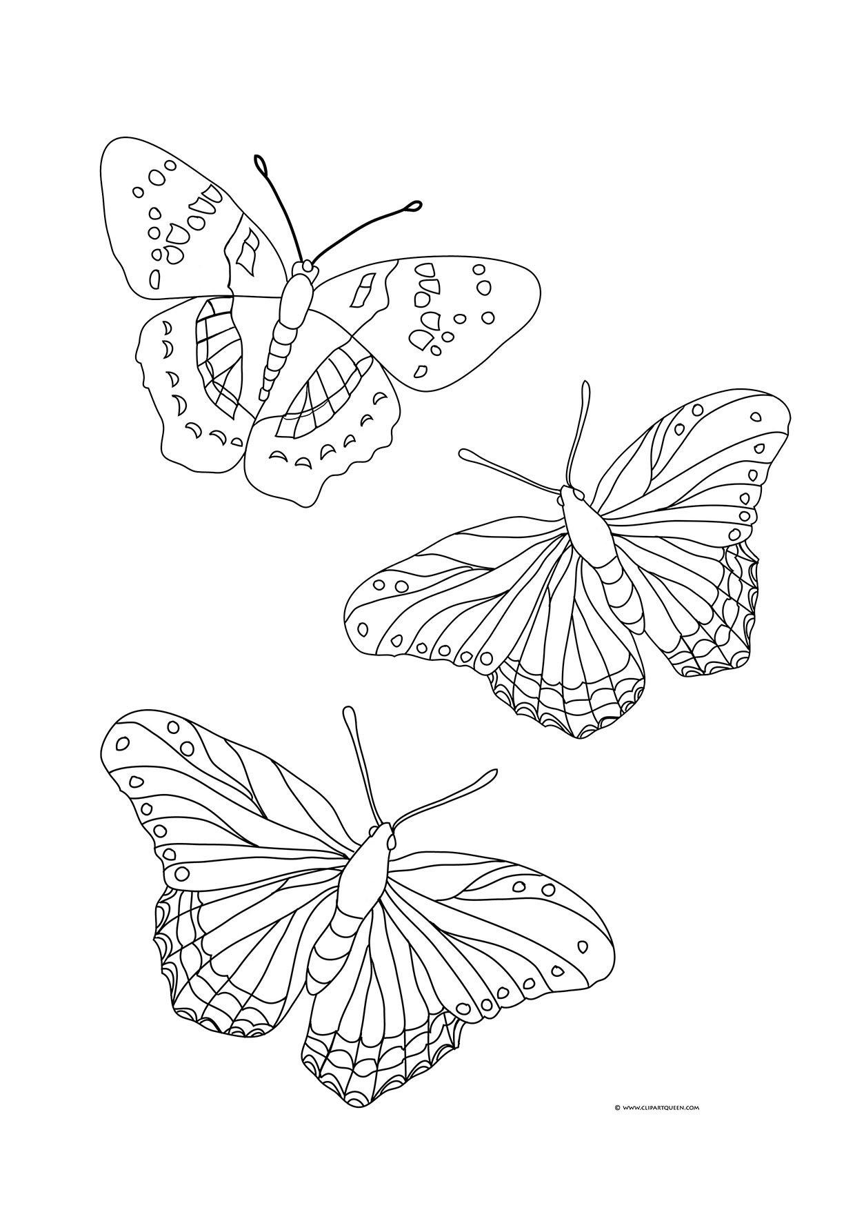 Unique Butterfly Drawing Sketch