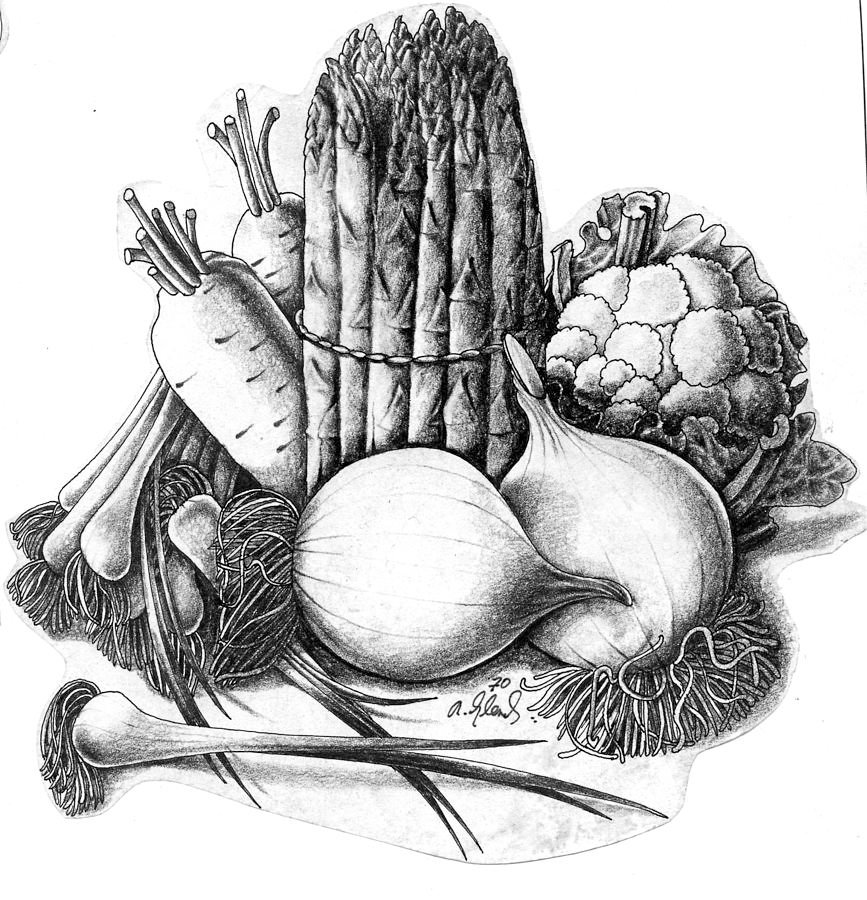 Vegetables Art Drawing
