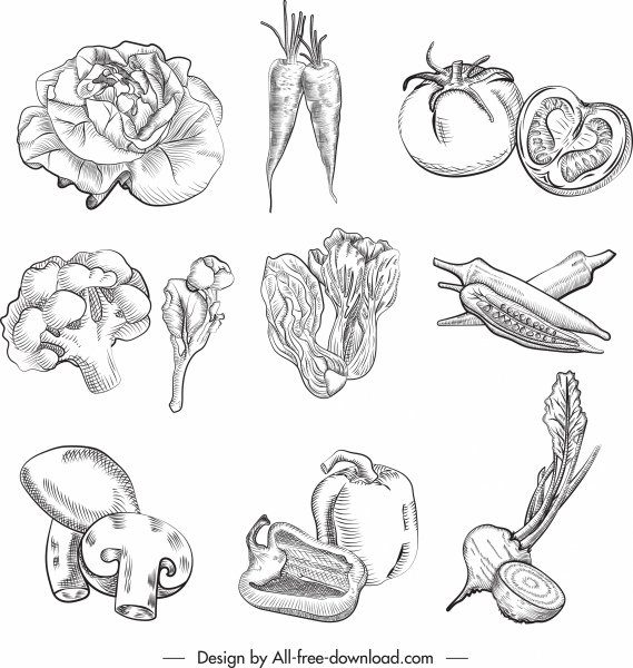 Vegetables Drawing Picture