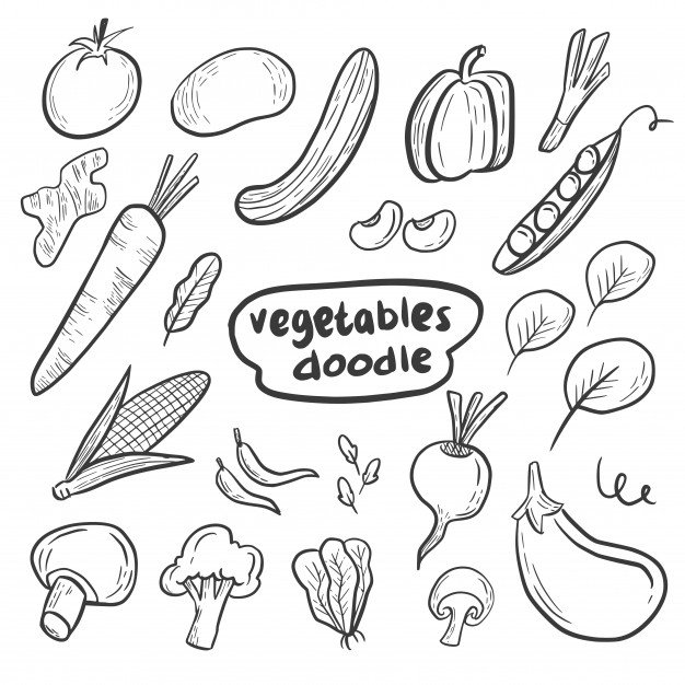 Vegetables Drawing Sketch