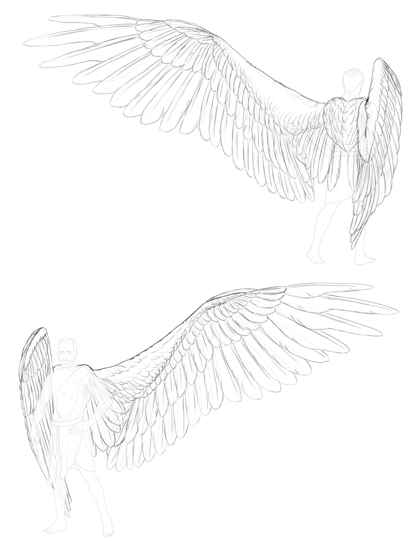 Wings Drawing High-Quality