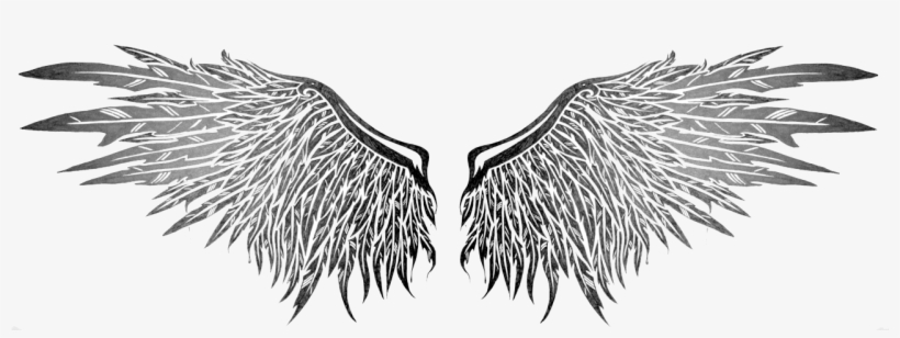 Wings Drawing Image