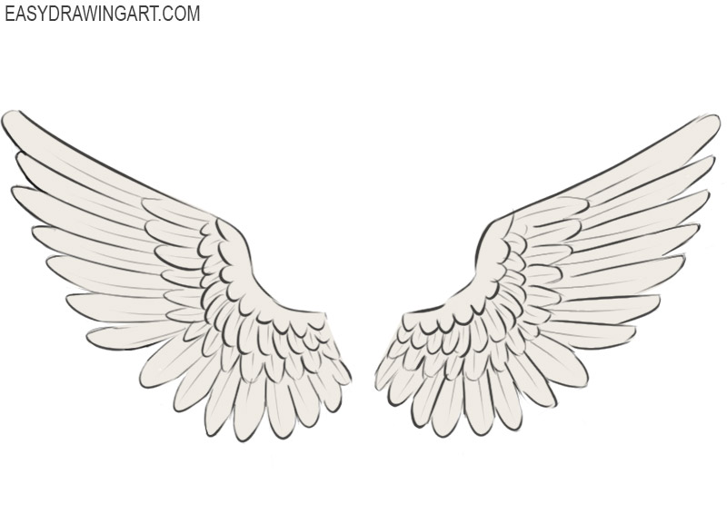 Wings Drawing Images