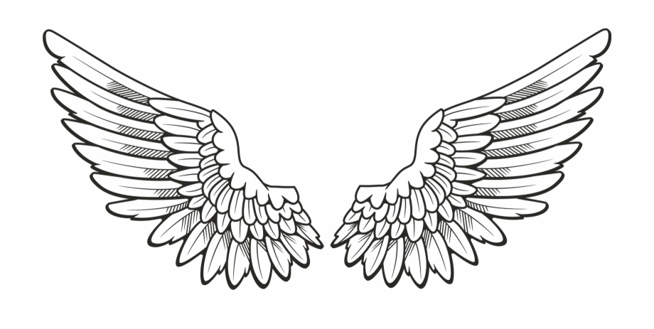 Wings Drawing Photo