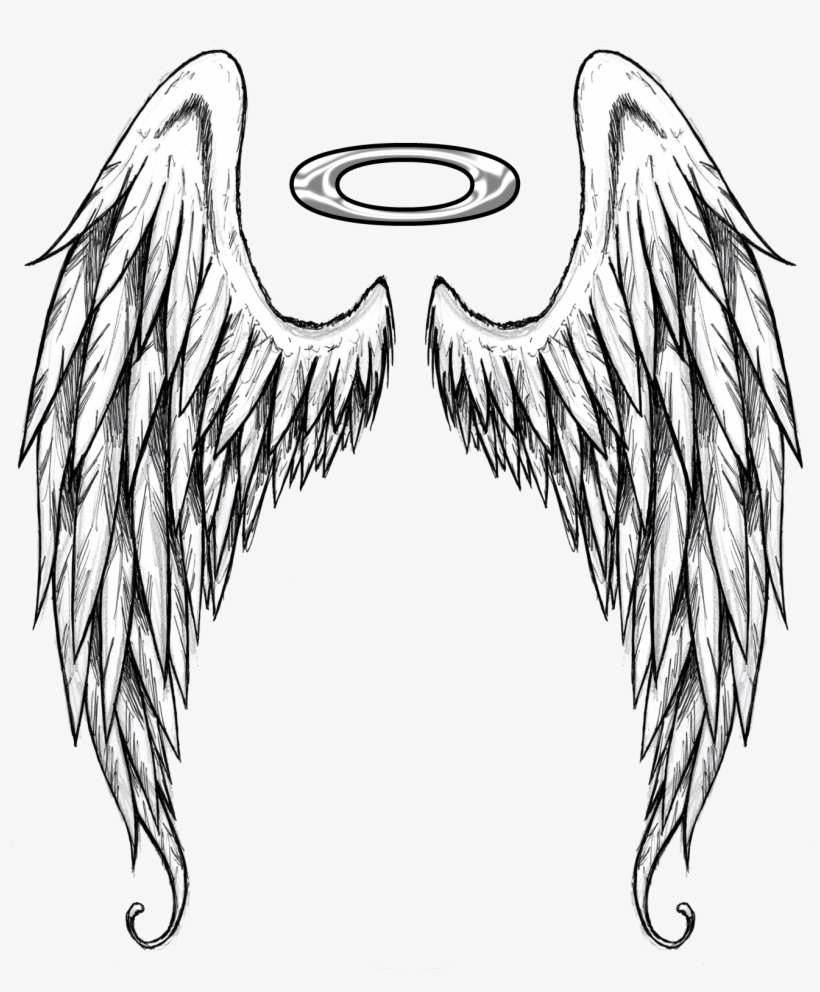 Wings Drawing Picture