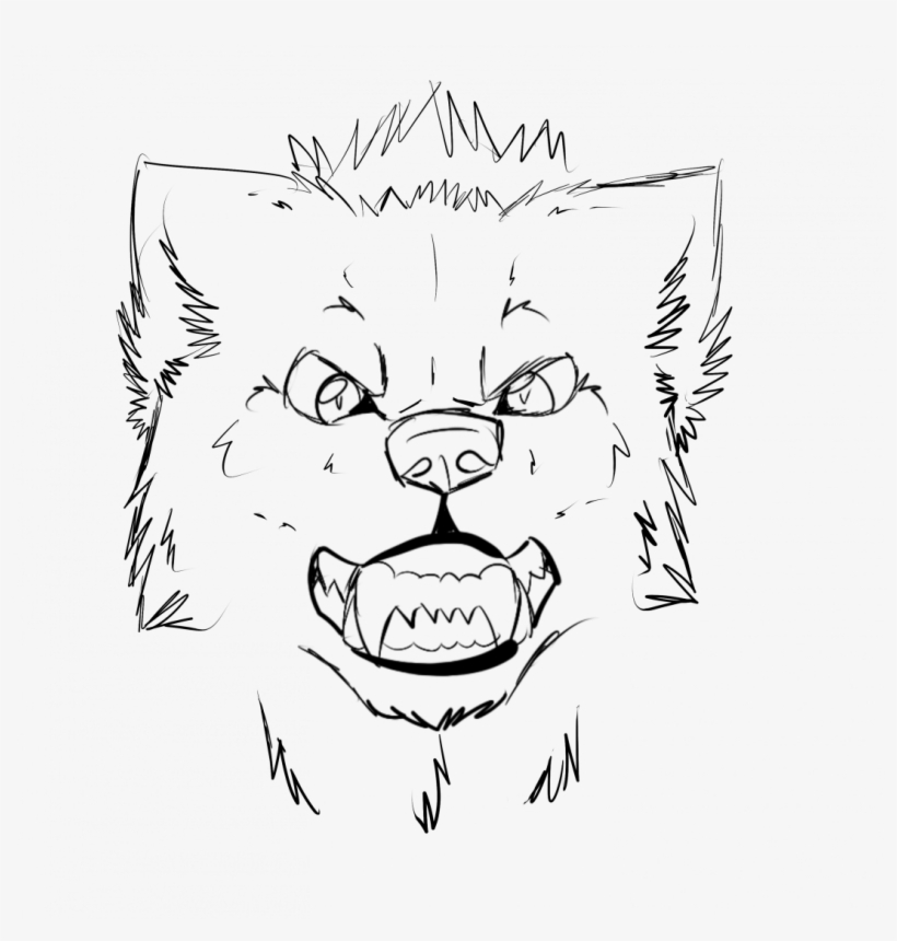 Wolf Head Drawing Image