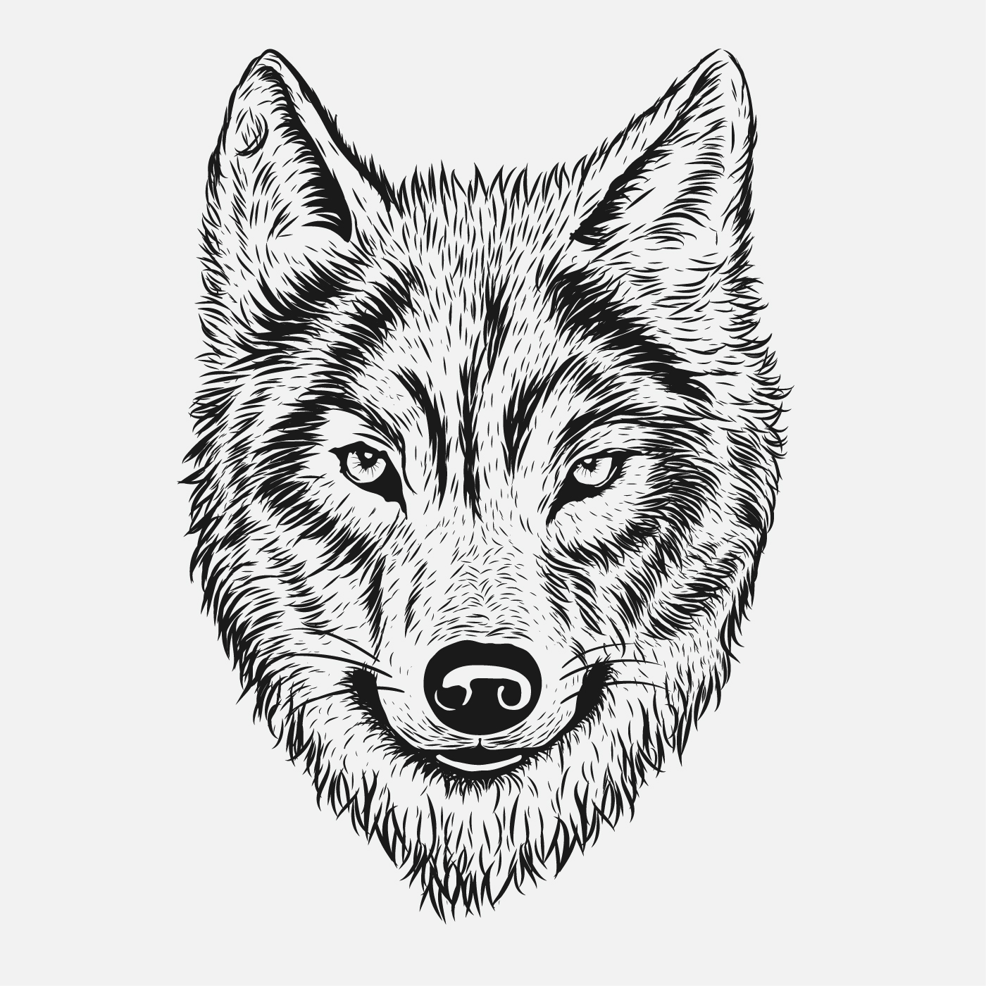 Wolf Head Drawing Images
