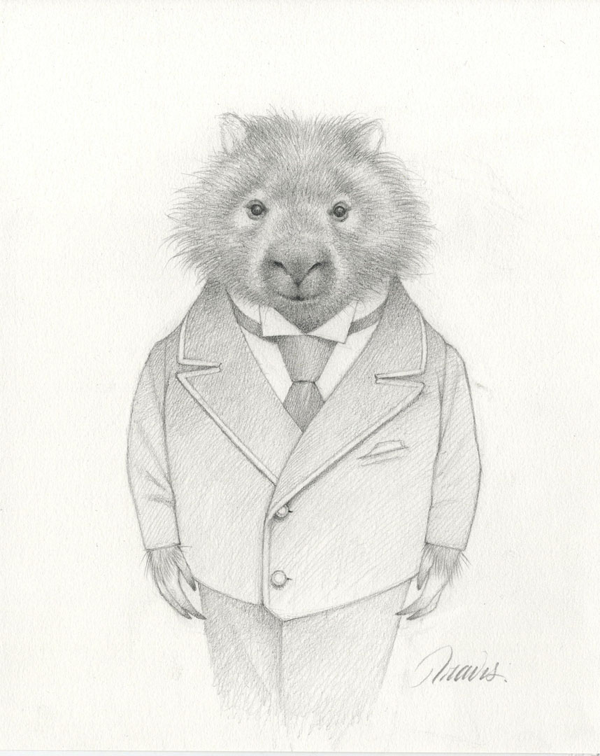 Wombat Drawing Best