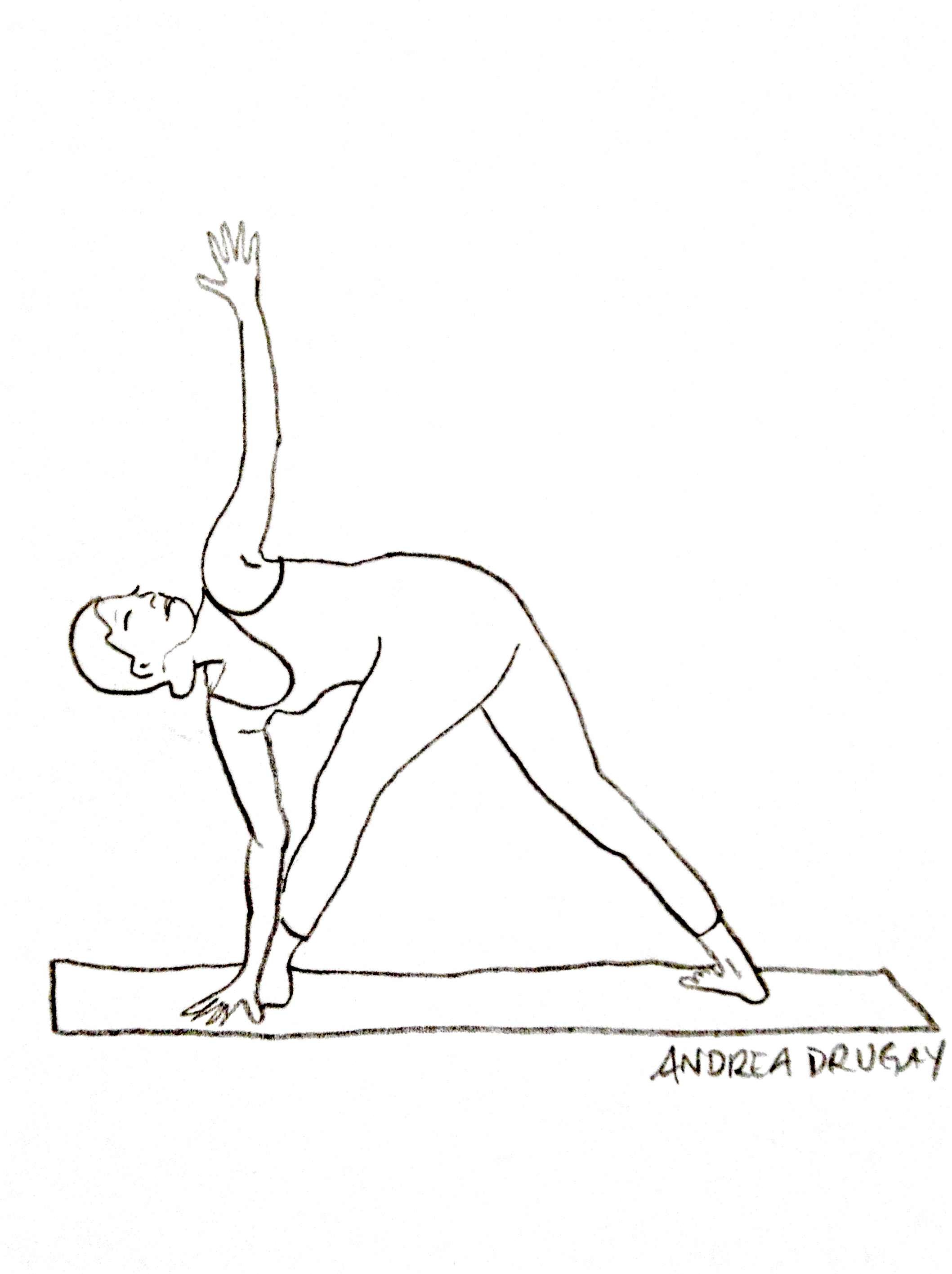 Yoga Poses Drawing Art