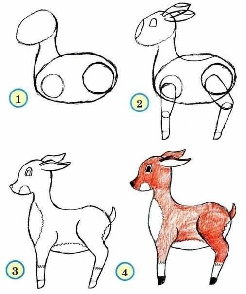Zoo Animals Drawing Image - Drawing Skill