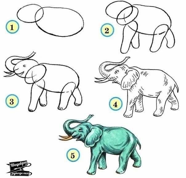 Zoo Animals Drawing Picture
